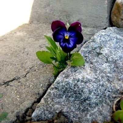 5b2ef2ee0f9add27ee638721a473f123